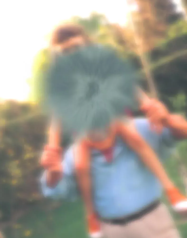 Illustration of a blurred scene with an obscured central area